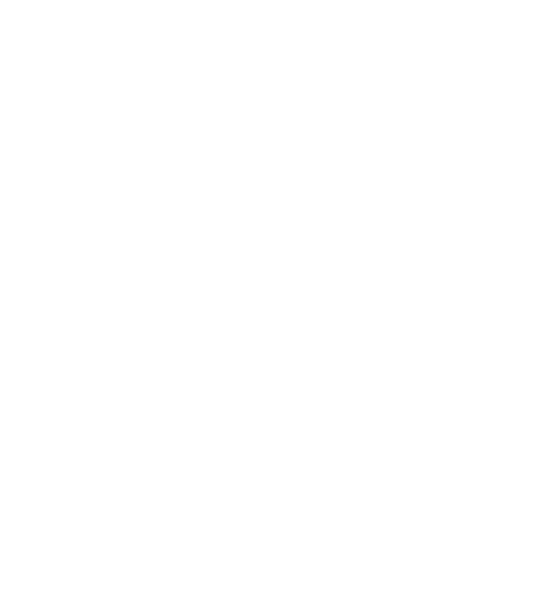 Shopify Developer